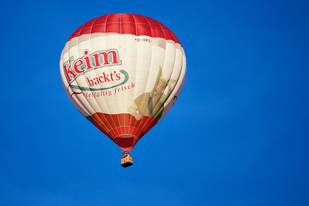 Image - balloon germ baker fly