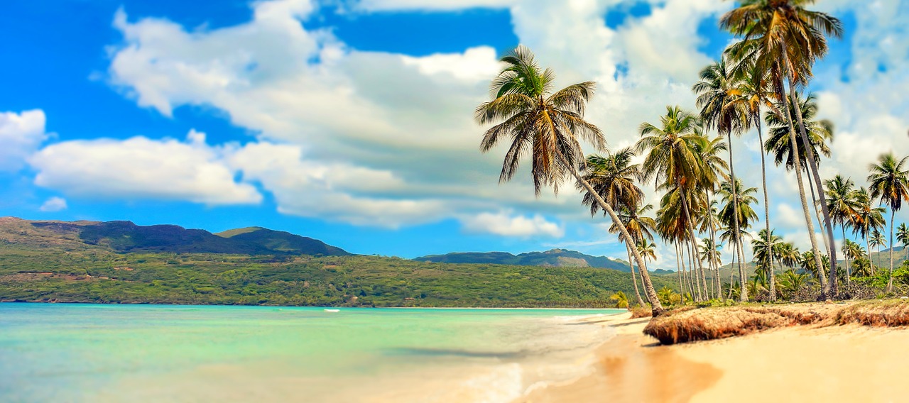 Image - beach paradise palm trees sea