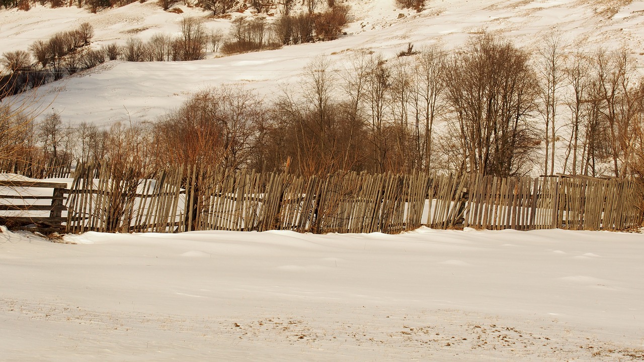 Image - forest winter wooden fence country