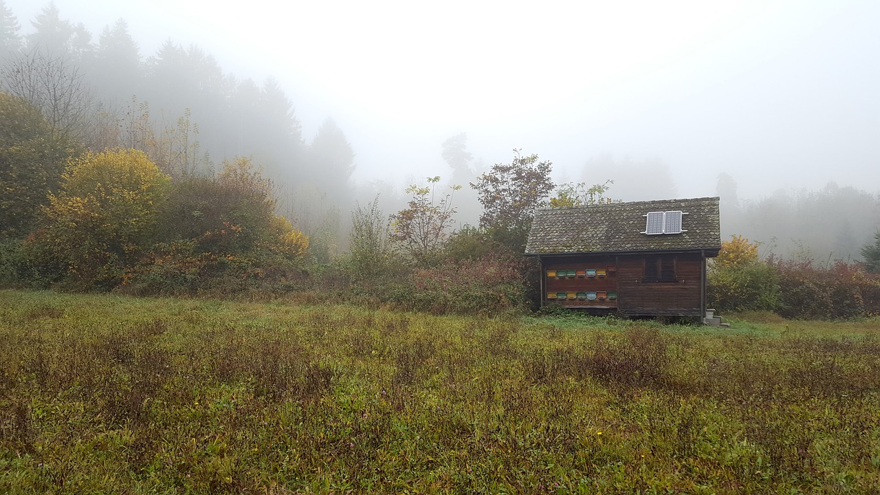Image - fog forest glade hut beehive