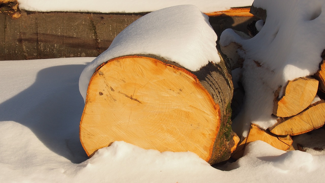 Image - log wood snow firewood trunk