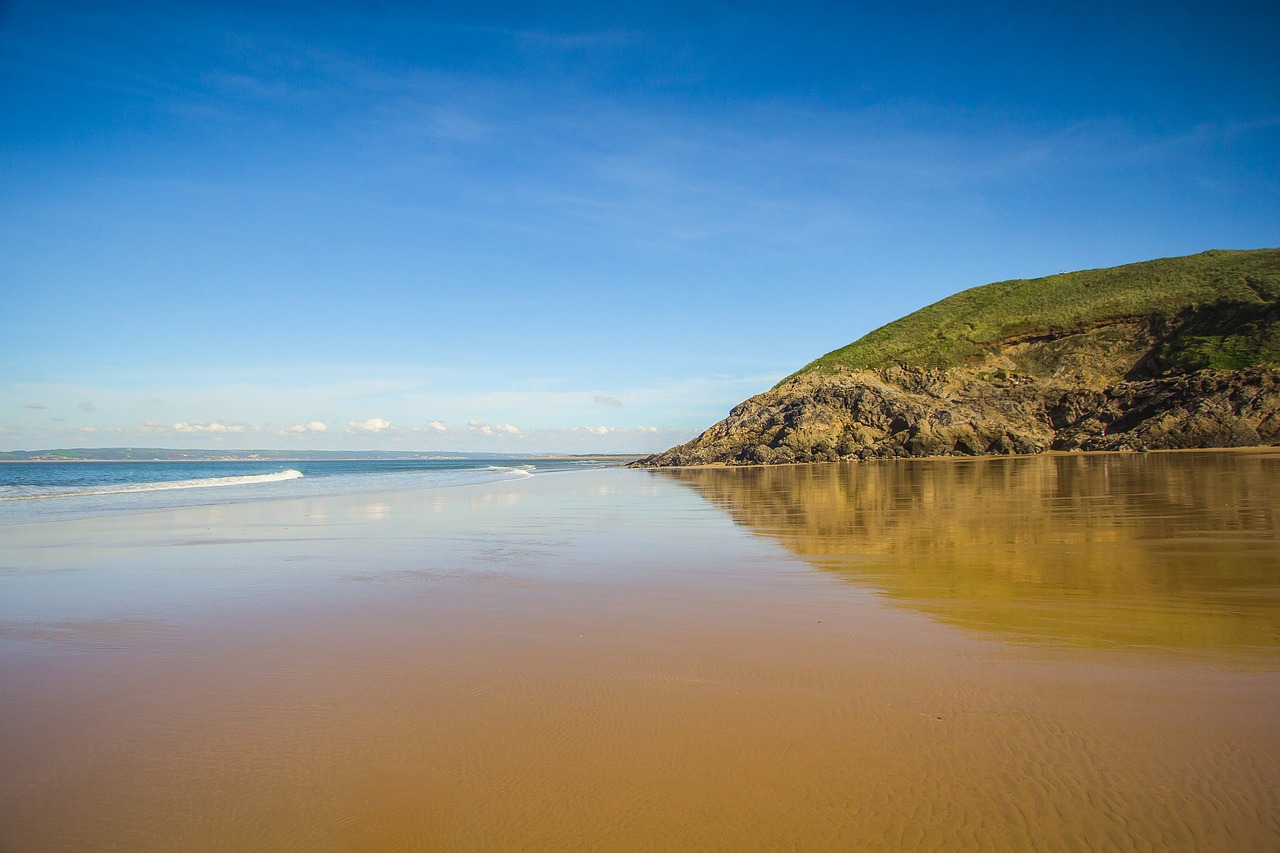 Image - beach reefs coast ocean low tide