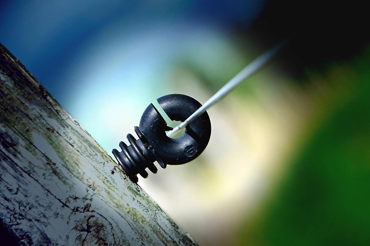 Image - insulator eyelet pasture fence