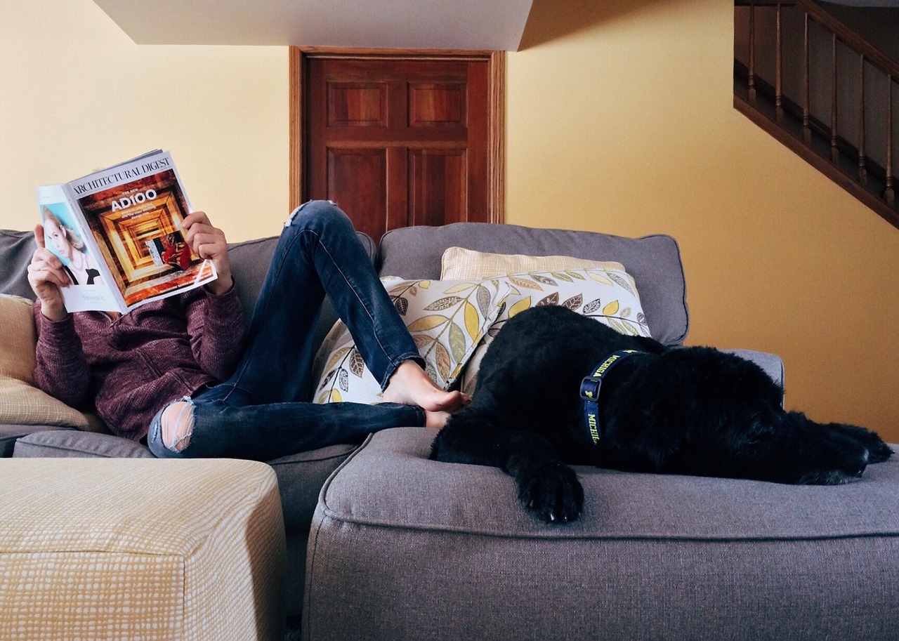 Image - person home relax dog lifestyle