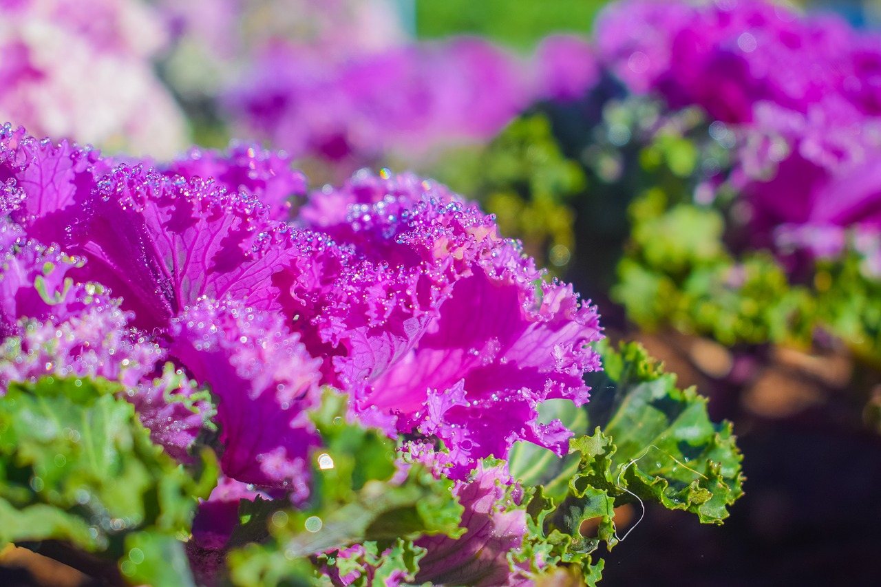 Image - dew drops tree unfair criticism leg