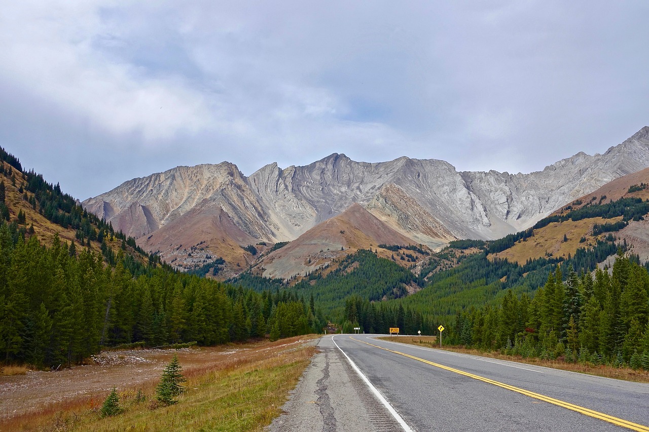 Image - highway perspective landscape road