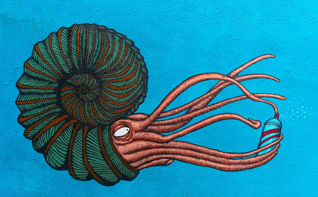 Image - street art ammonite nautilus