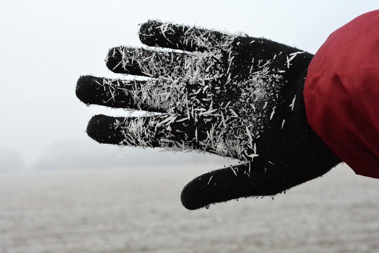 Image - winter hand frost cold