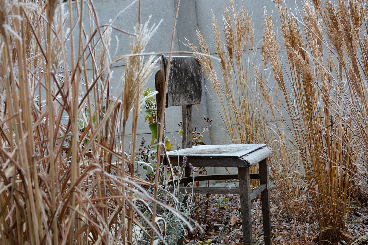 Image - winter chair frost outdoors