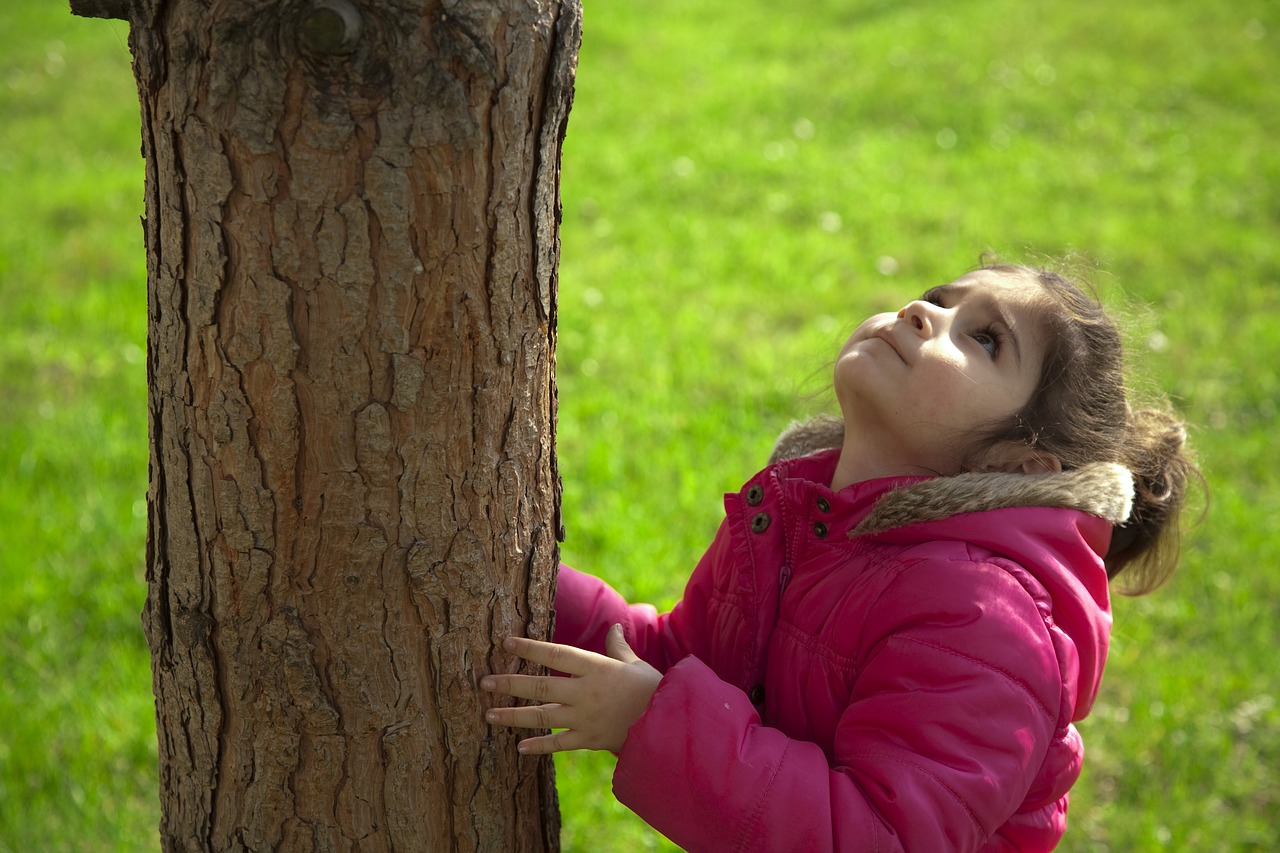 Image - child tree nature environmental