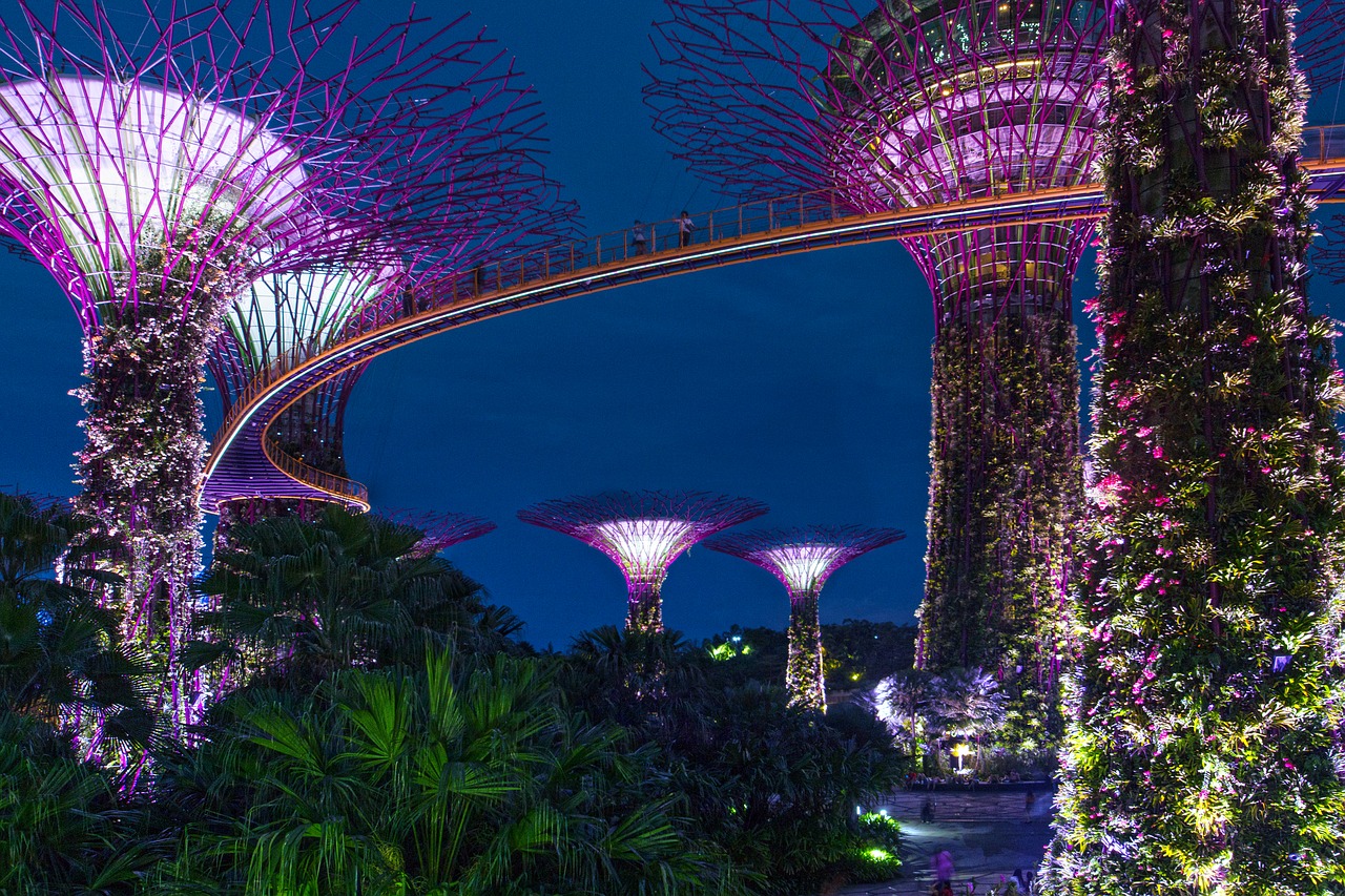 Image - singapore night architecture asia