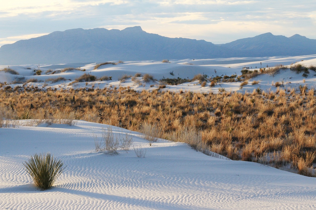 Image - sand white grass scenic landscape