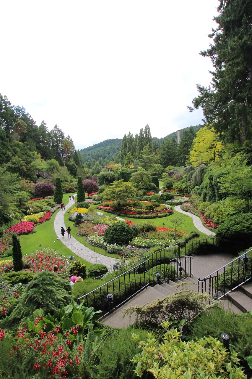 Image - garden landscape nature scenery