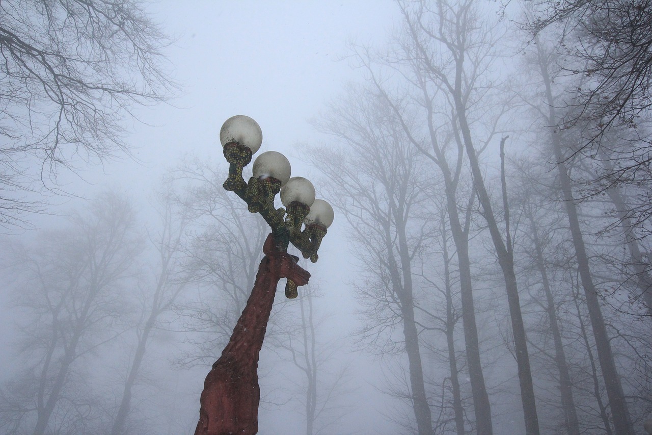 Image - street lights deer fog forest