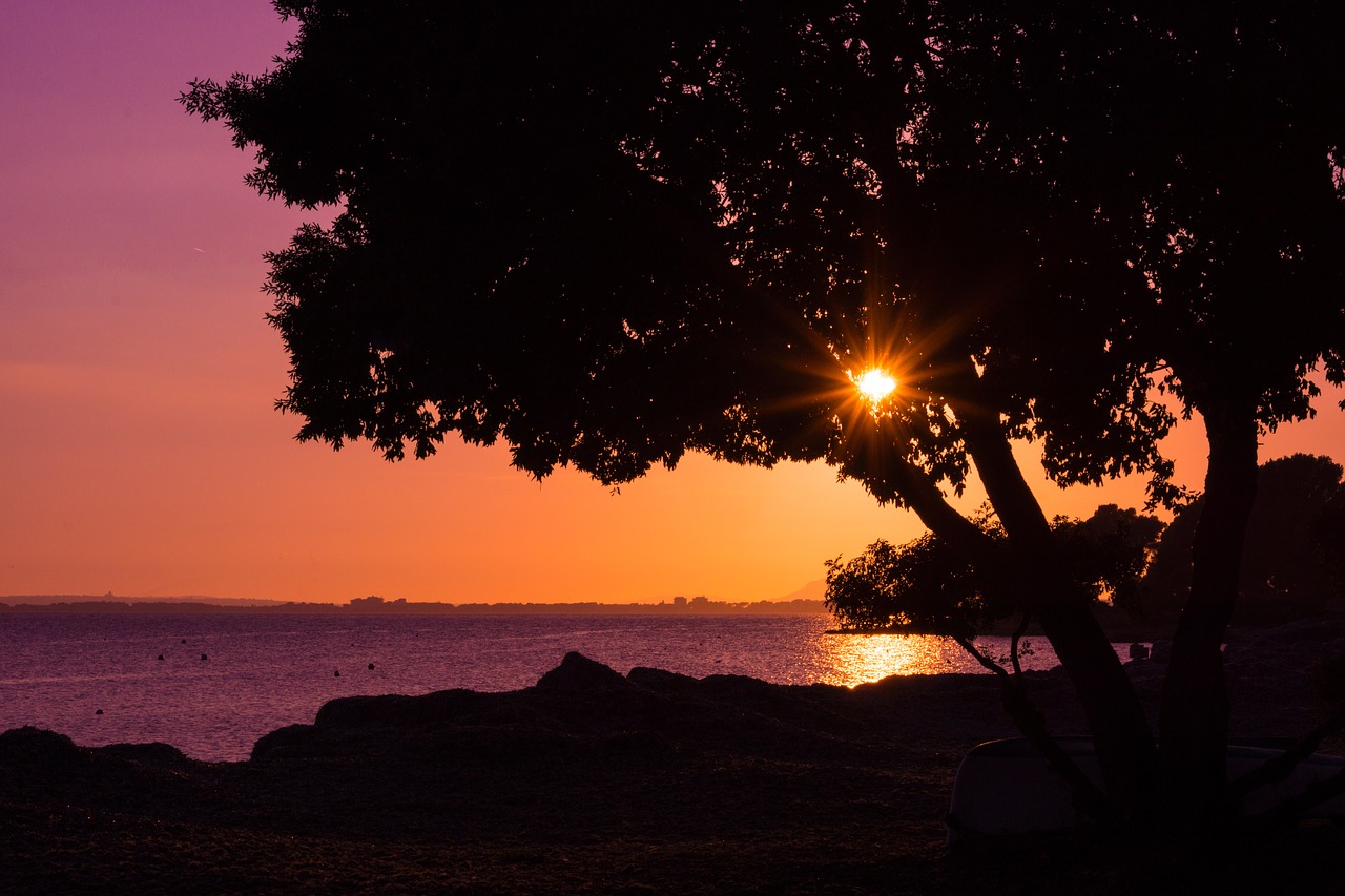 Image - silhouette sunset sunbeam trees