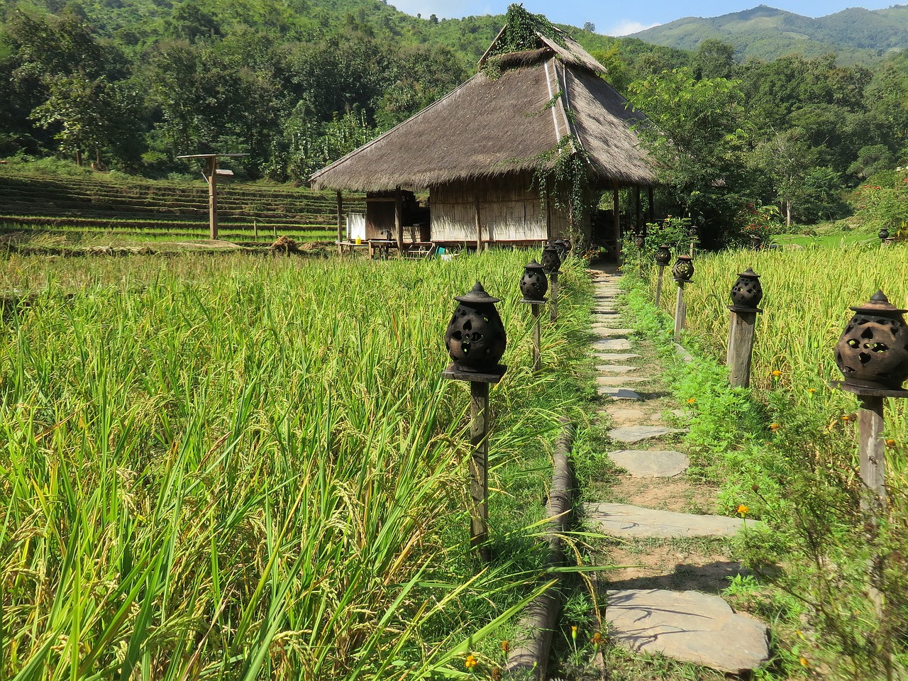 Image - laos highlands kamu lodge paillotte