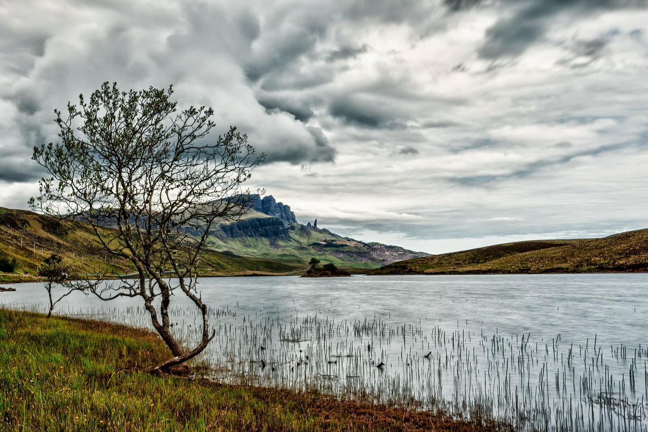 Image - sky clouds tree waters lake hole