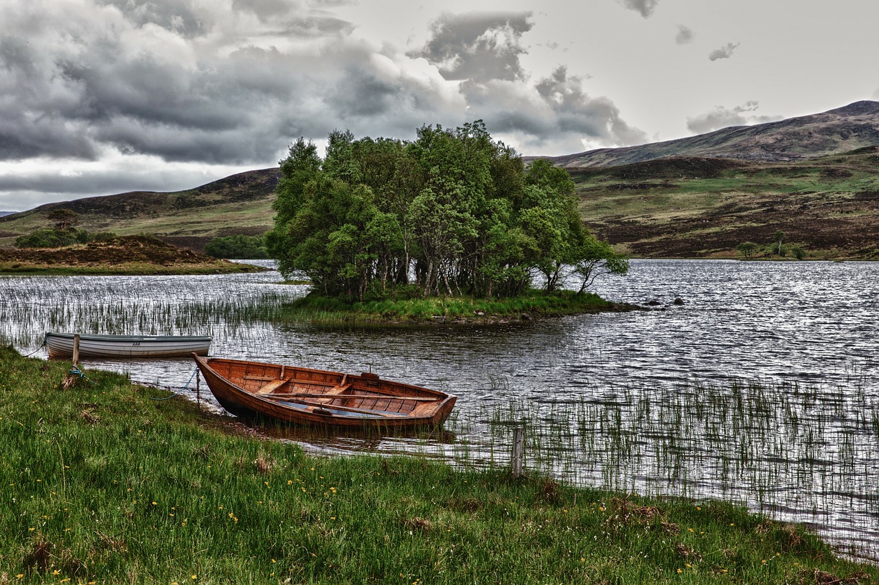 Image - bank reed water boot rowing boat