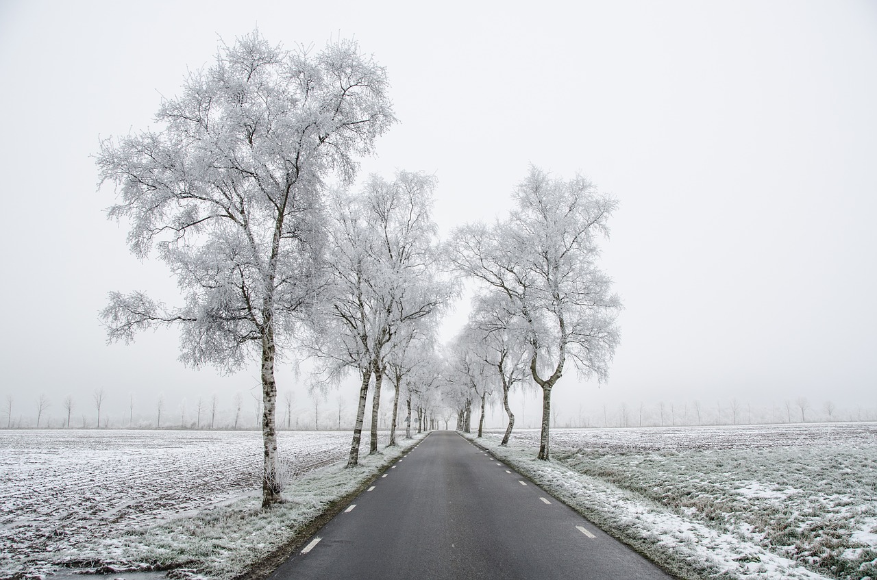Image - winter frost fog road cold dark
