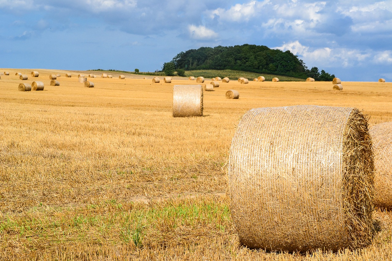 Image - hay bales hay straw bales straw