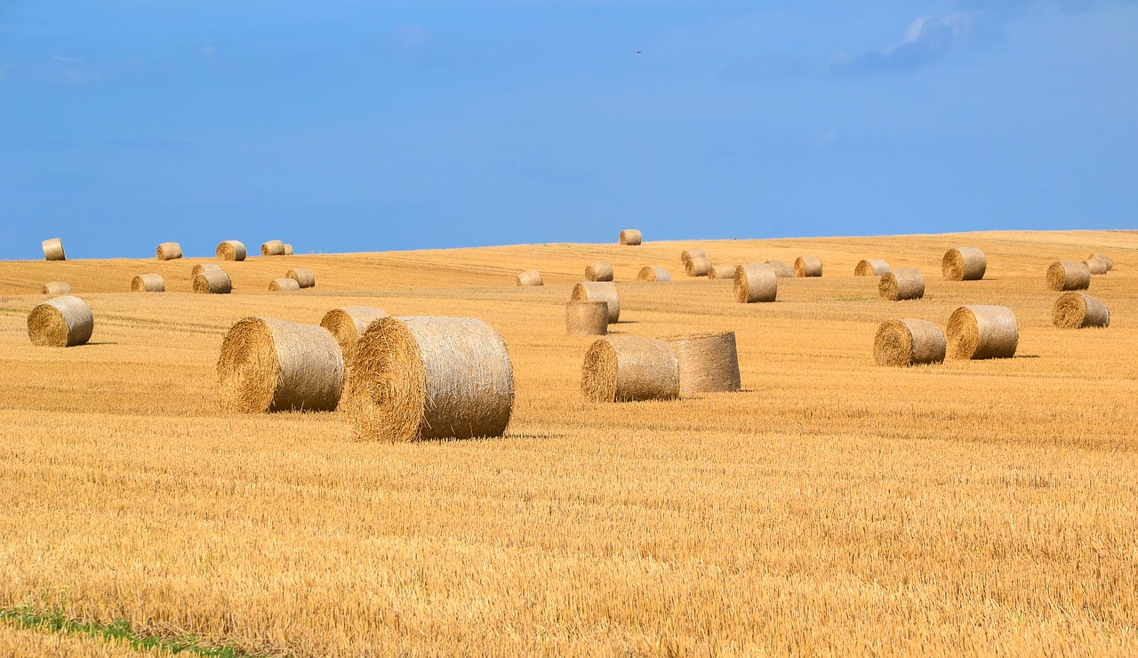 Image - hay bales hay straw bales straw