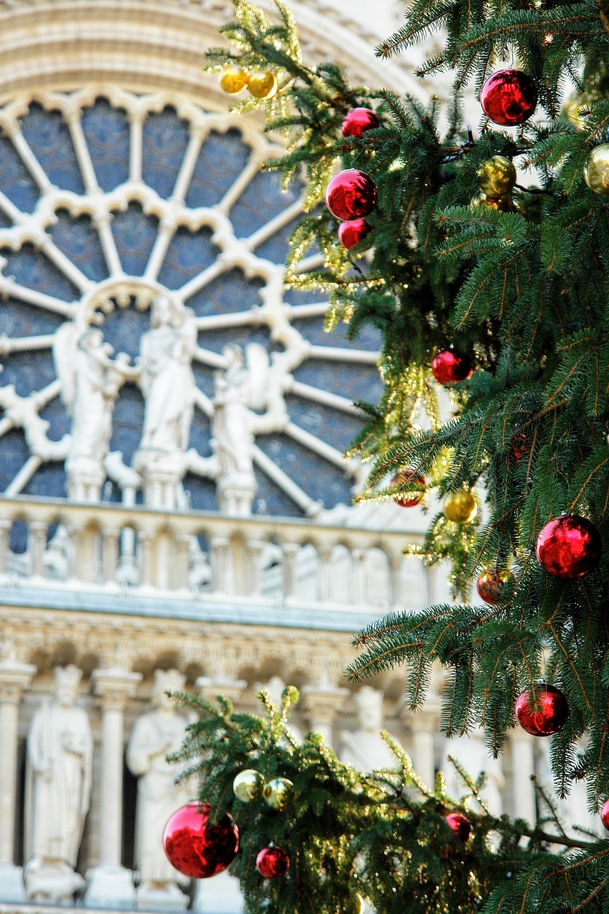 Image - france paris church west rose