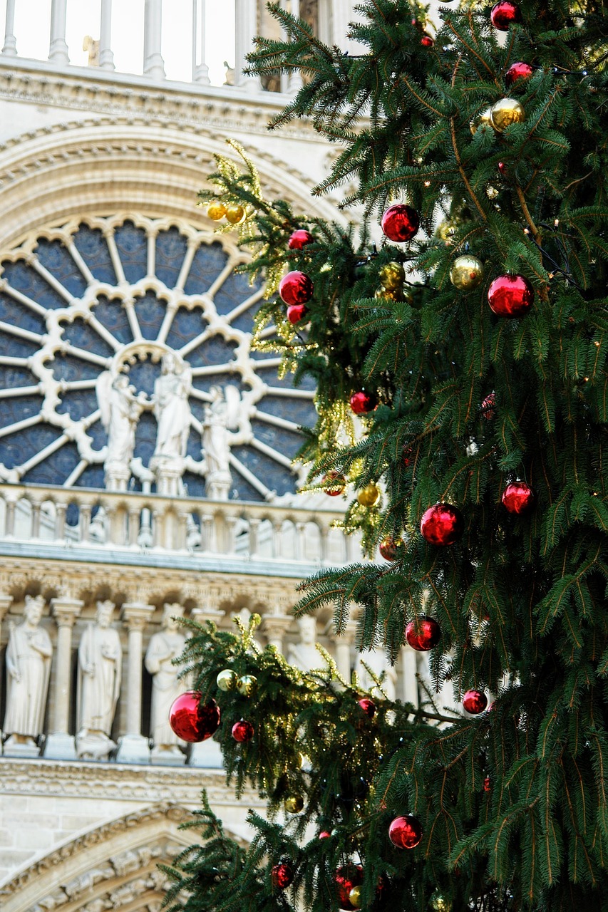 Image - france paris church west rose