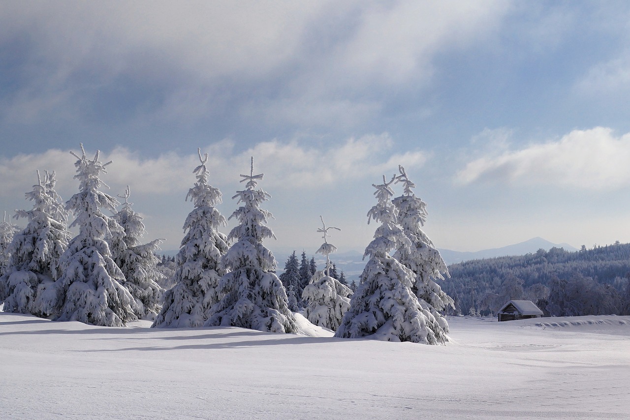 Image - pf 2017 winter snow panorama frost