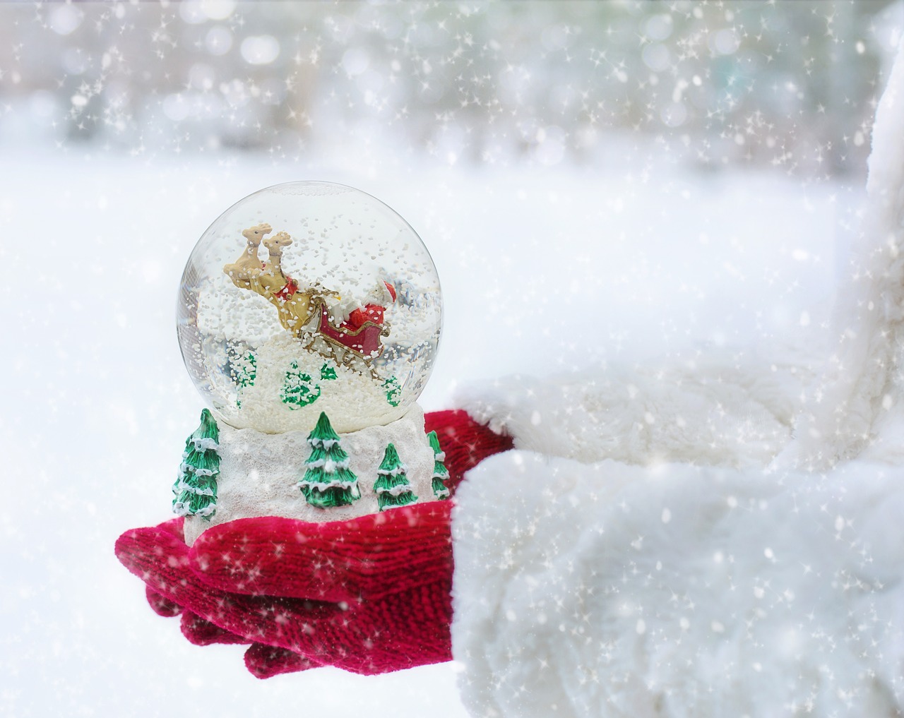 Image - snow globe christmas snow globe