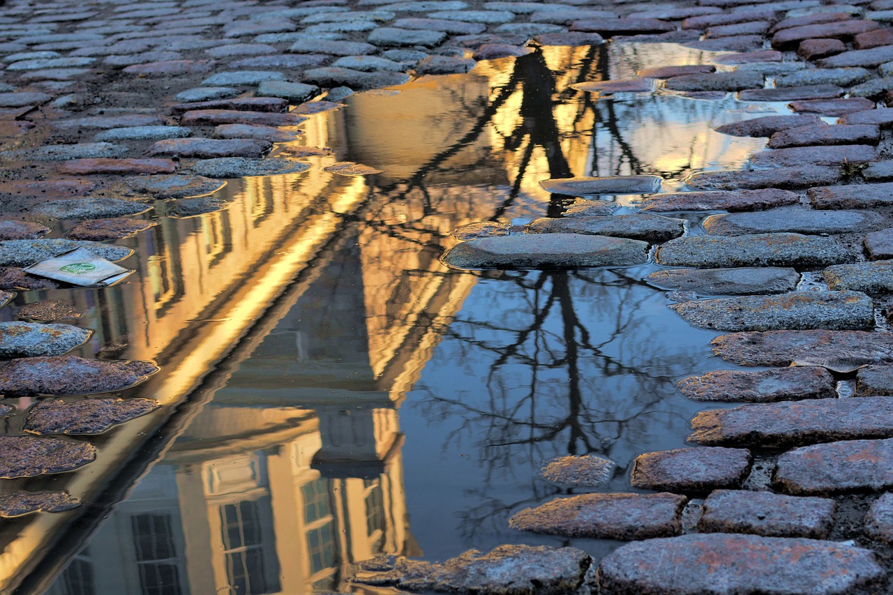 Image - puddle old montréal reflection