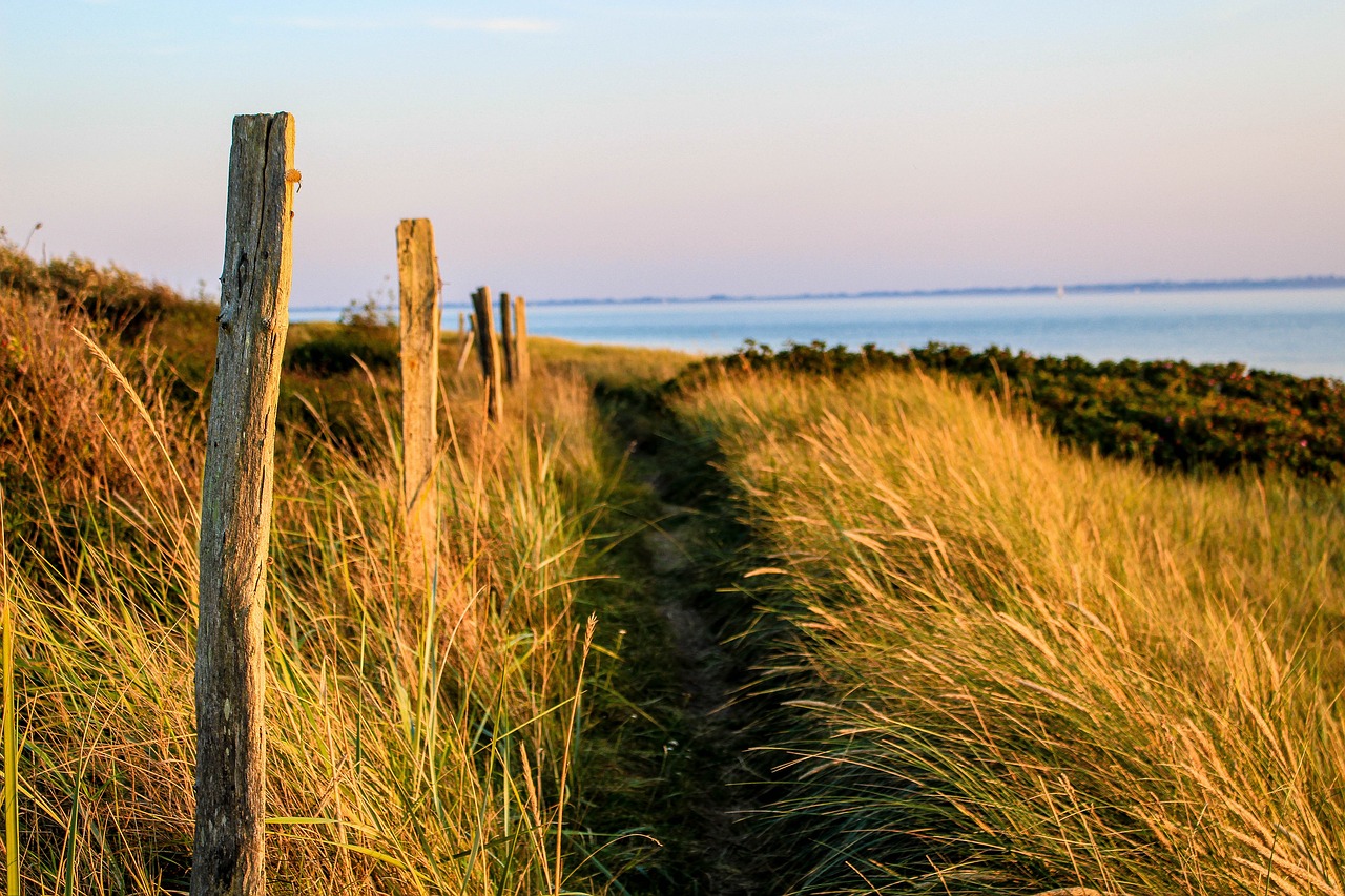 Image - dunes away dune landscape north sea