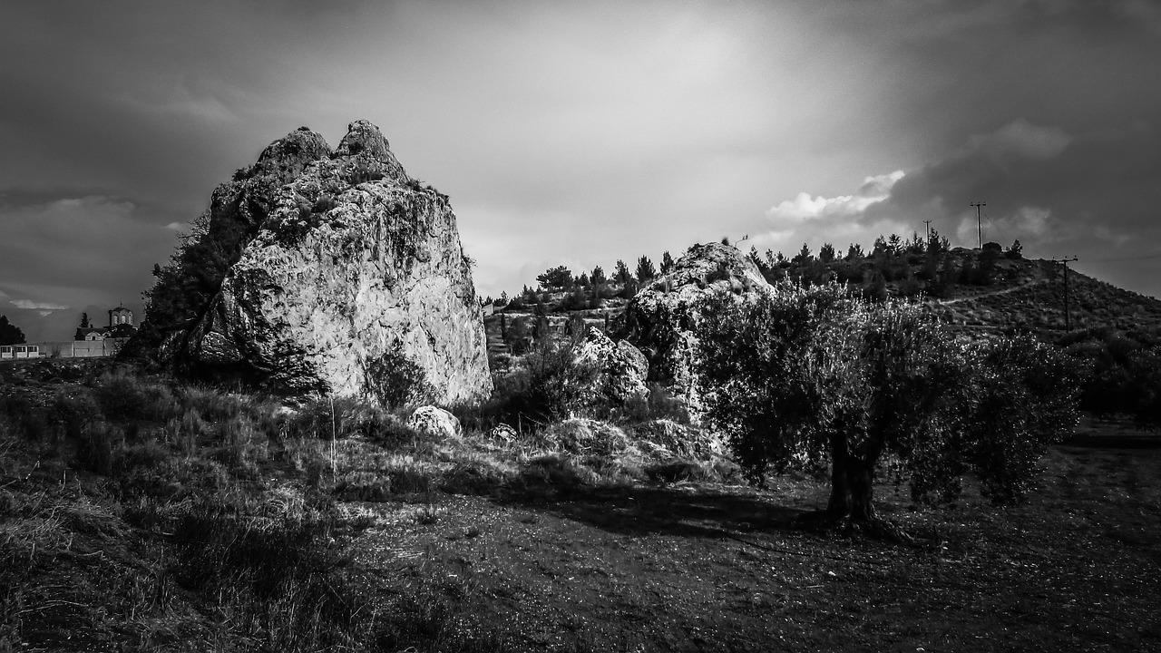 Image - rock landscape olive trees