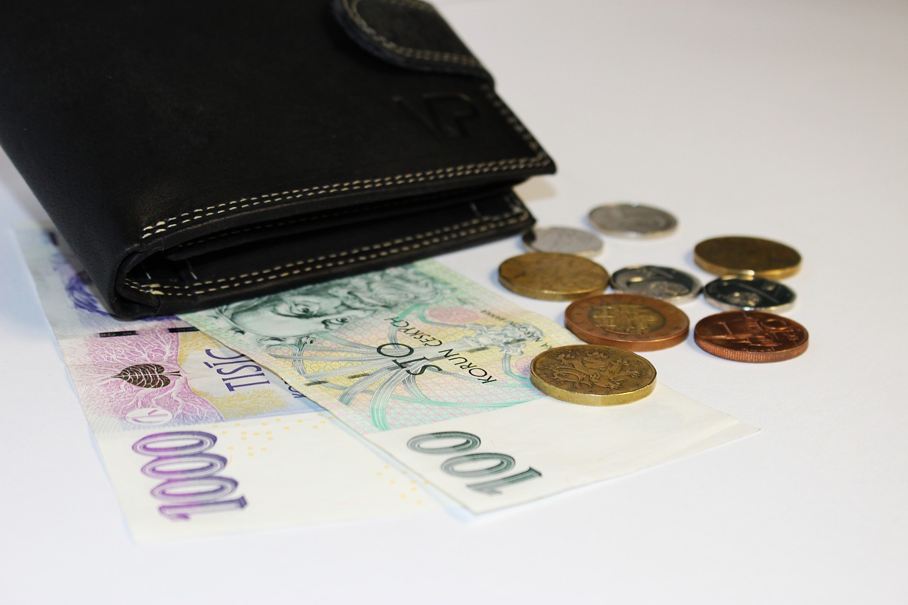 Image - money wallet banknotes