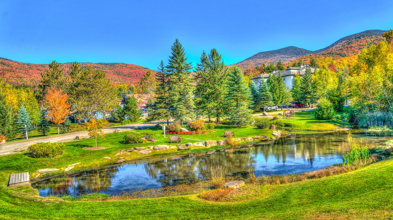 Image - vermont stowe foliage fall autumn