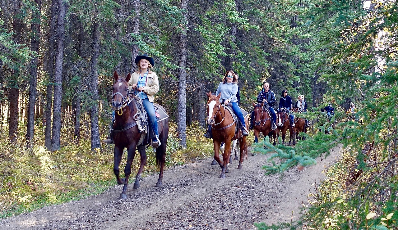 Image - riding horses horse riding