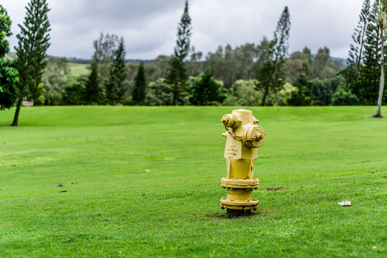 Image - grass hydrant fire green park