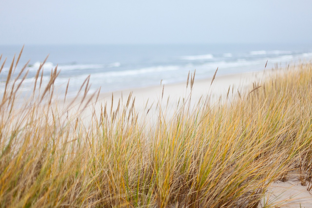 Image - dunes sea baltic sea beach