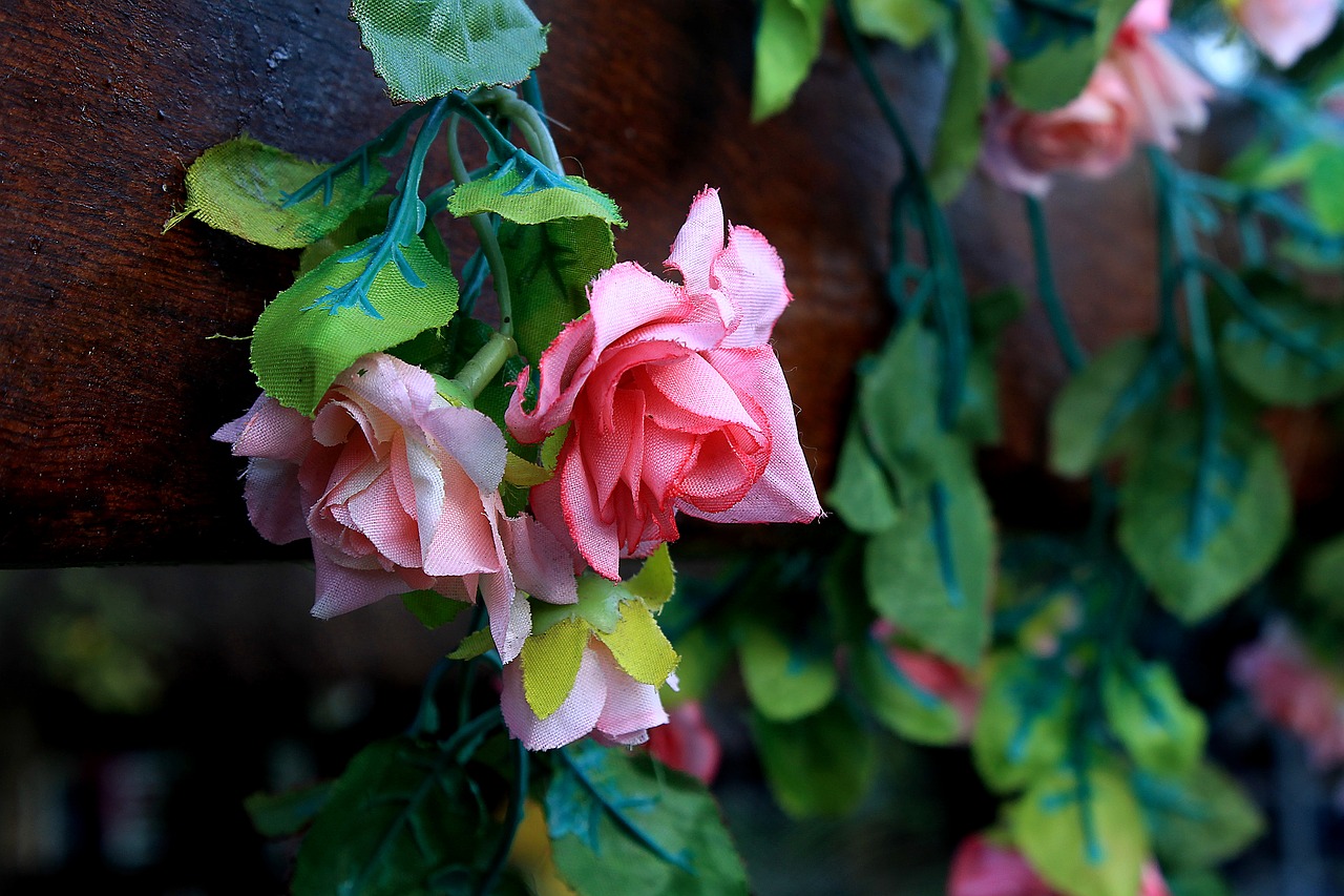 Image - artificial flowers ornamental