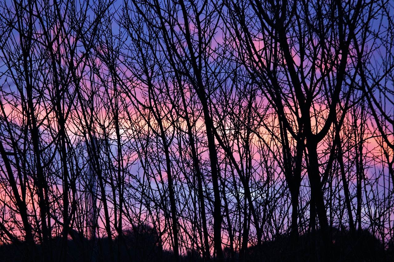 Image - sunset winter ramos pink sky