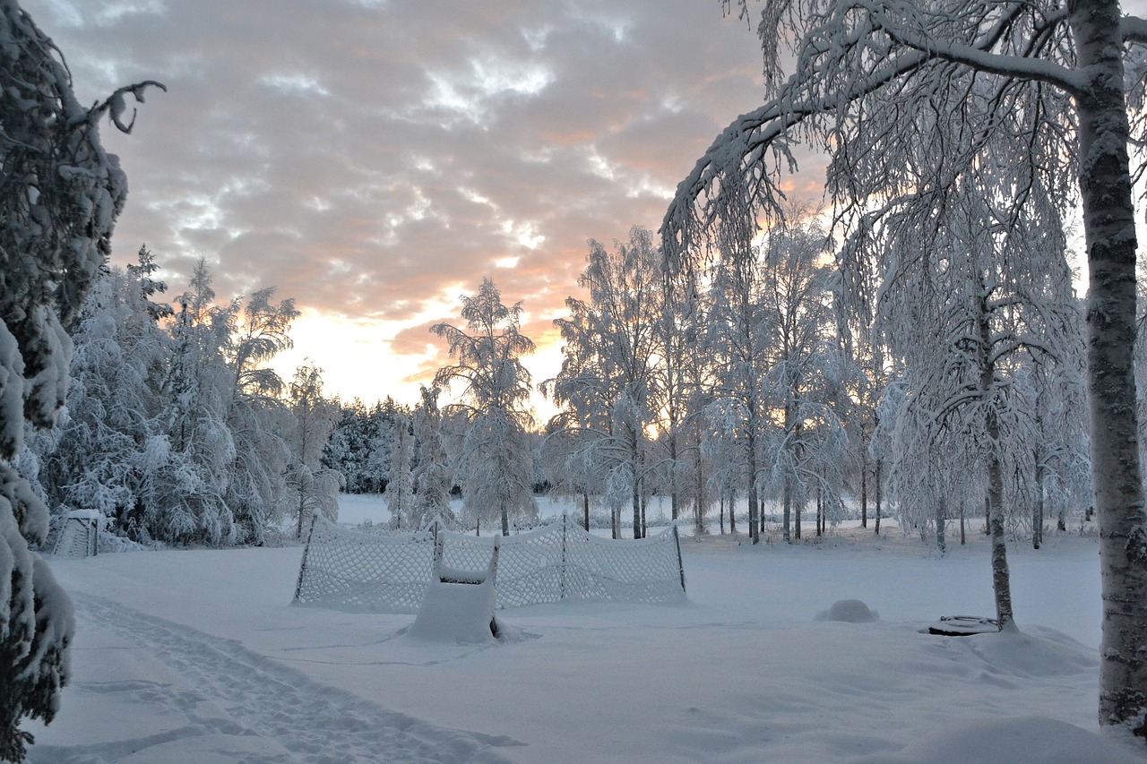 Image - lapland sweden wintry landscape