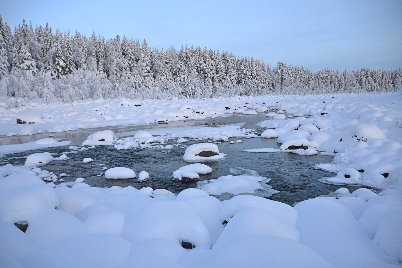 Image - winter lapland sweden wintry icy