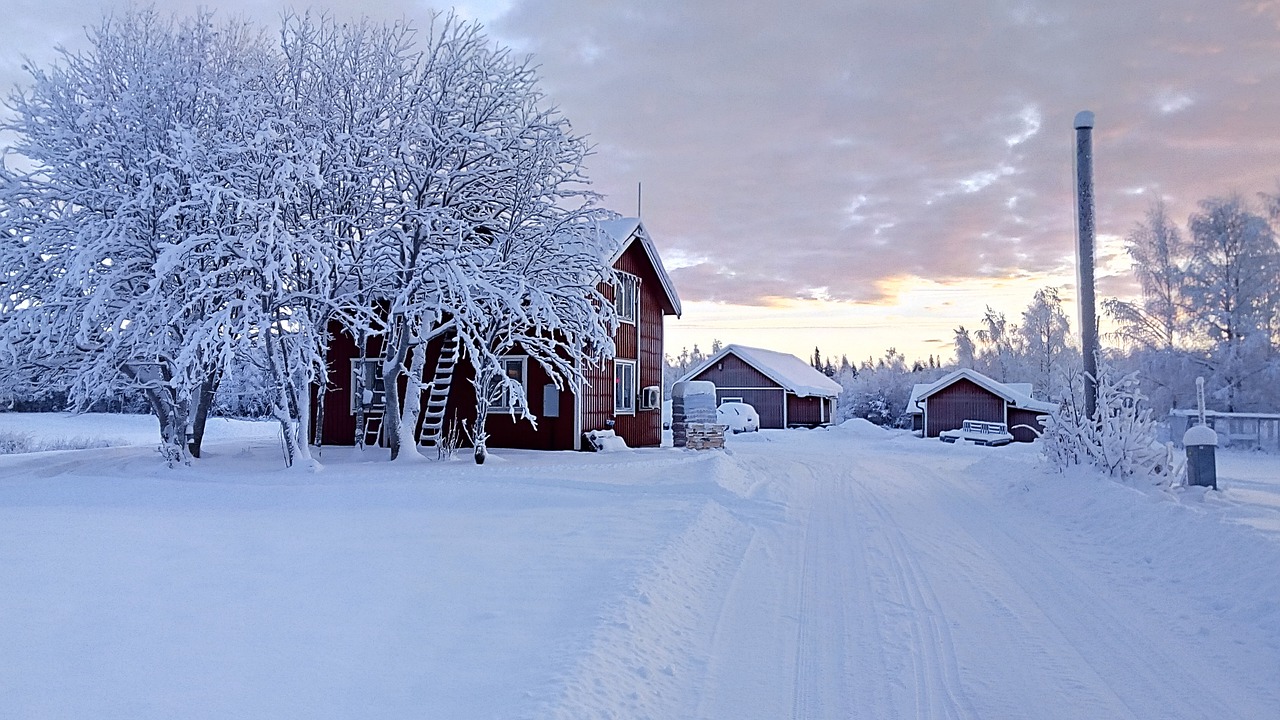 Image - vacation wintry snow trees snowy