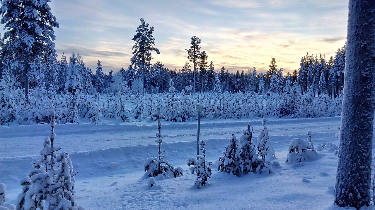 Image - lapland sweden wintry snow