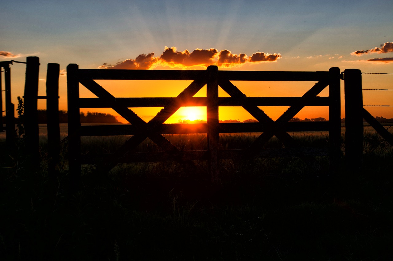 Image - gate sun sunset field landscape