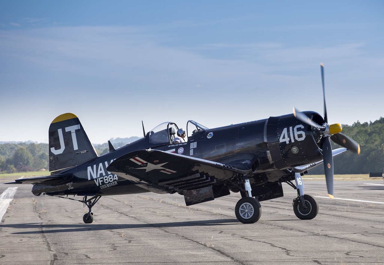 Image - wings over north georgia airshow