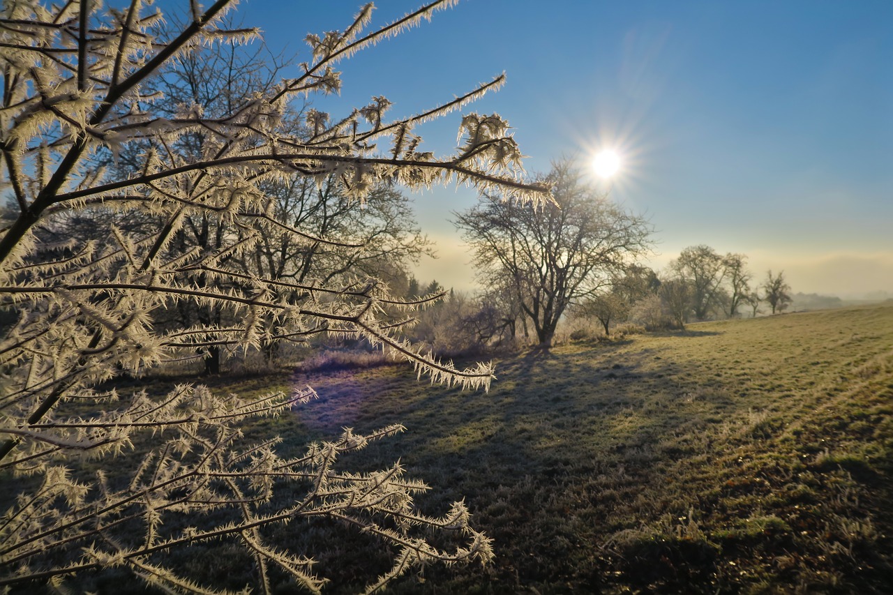 Image - frost meadow winter frozen iced