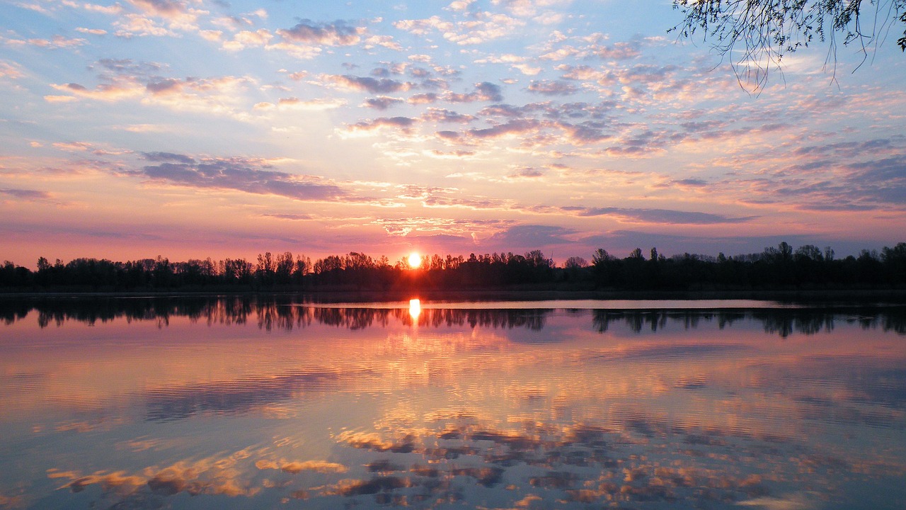 Image - sunset trees lake waters silhuette