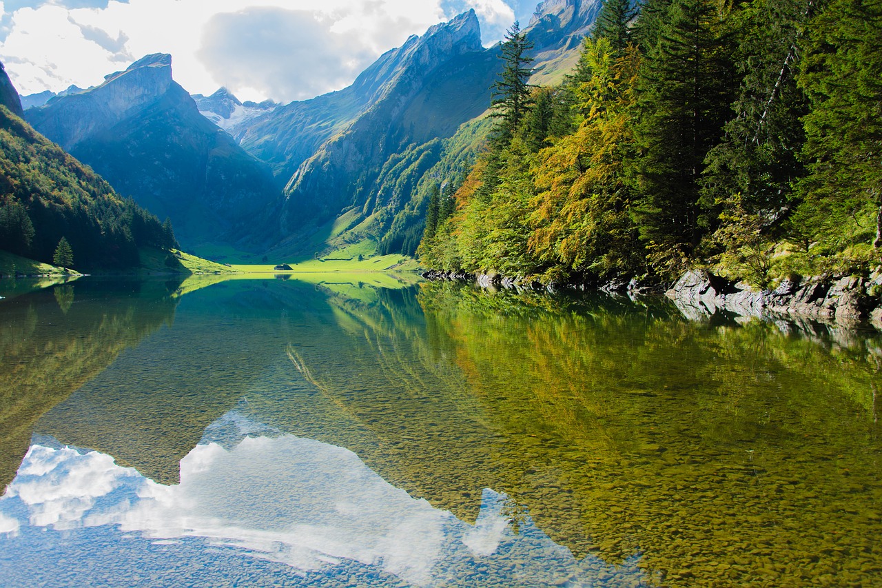 Image - seealpsee water nature switzerland