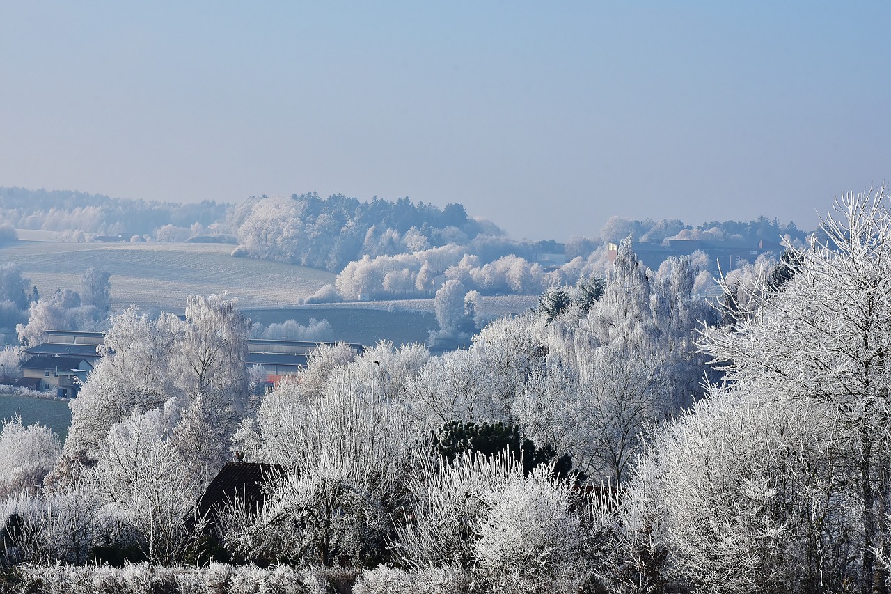 Image - landscape winter trees sky snow