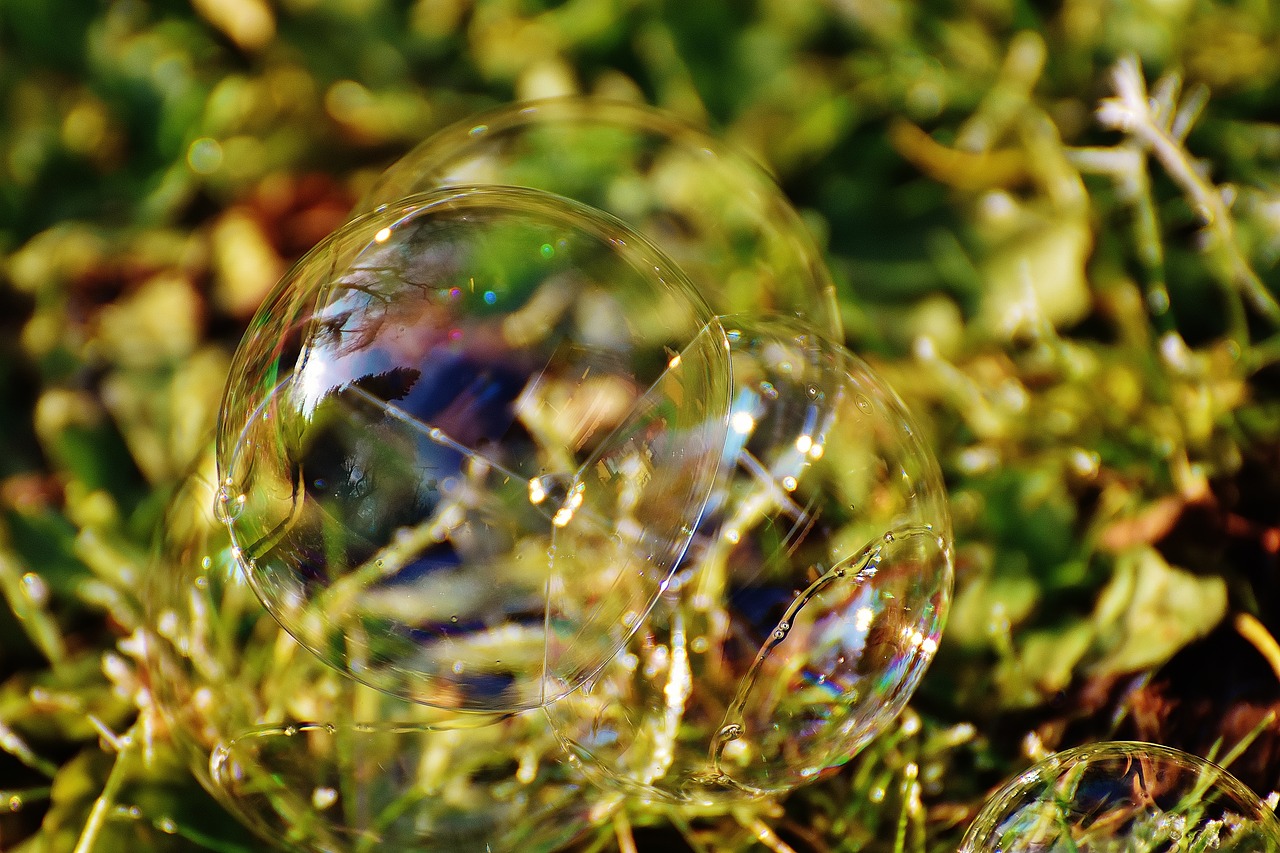 Image - soap bubble colorful meadow balls